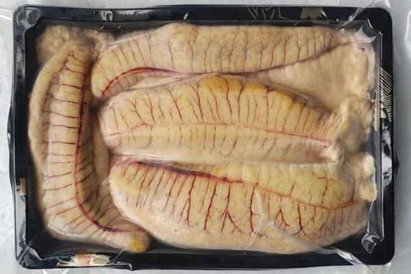 魚籽