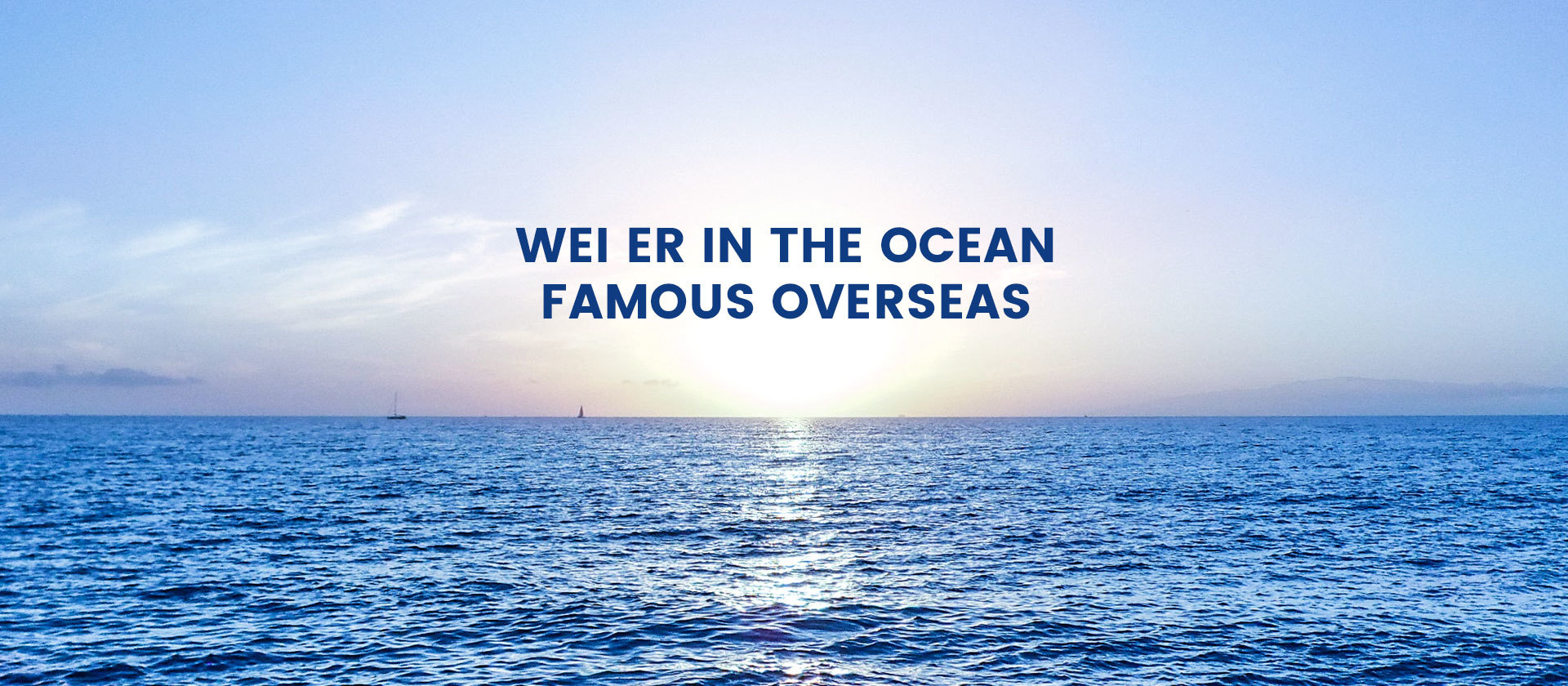 WEI ER JIA